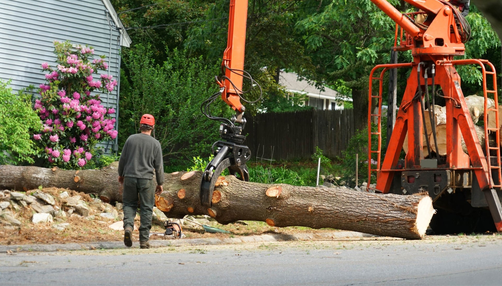 Local partner for Tree removal services in Gardendale