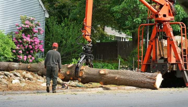 tree removal gardendale al