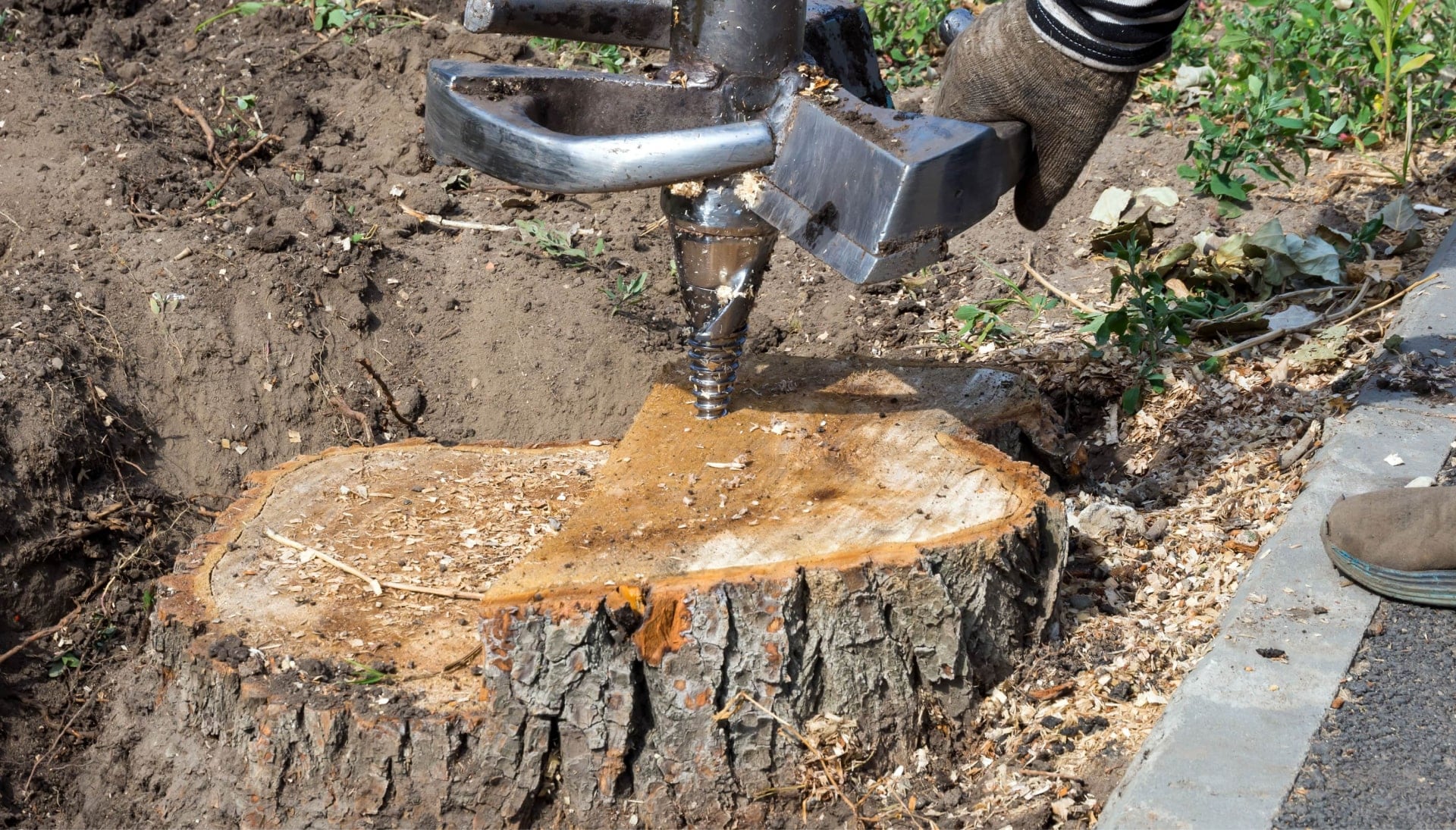 Gardendale Tree stump removal